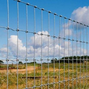 Field Fence for Livestock and Agriculture