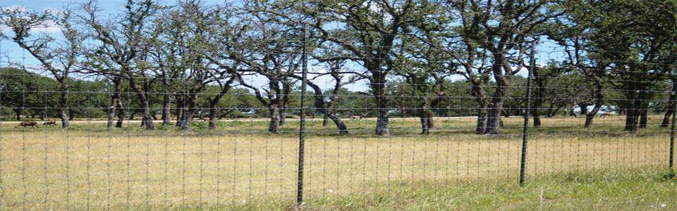 Deer Fence
