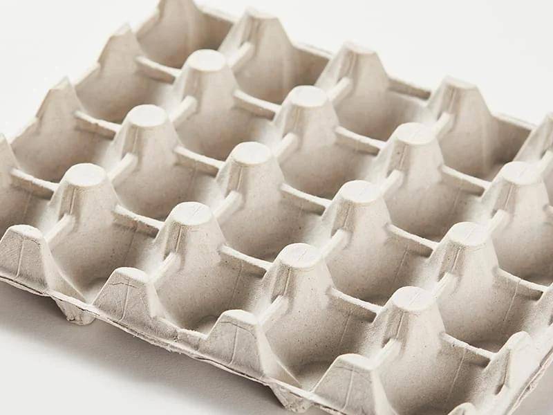 molded-pulp-egg-carton