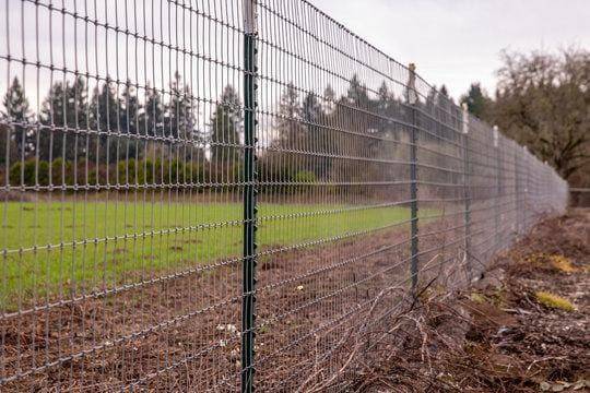 Welded Wire Fence