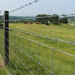 farm1_6d0d474b-39d4-4158-b4fa-fd9c37f3db2b_large
