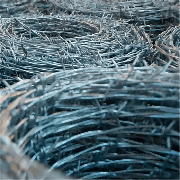barbed wire