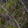 hexagonal wire mesh for rockfall protection