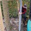 hot-dip-galvanized-hexagonal-wire-mesh-garden-application