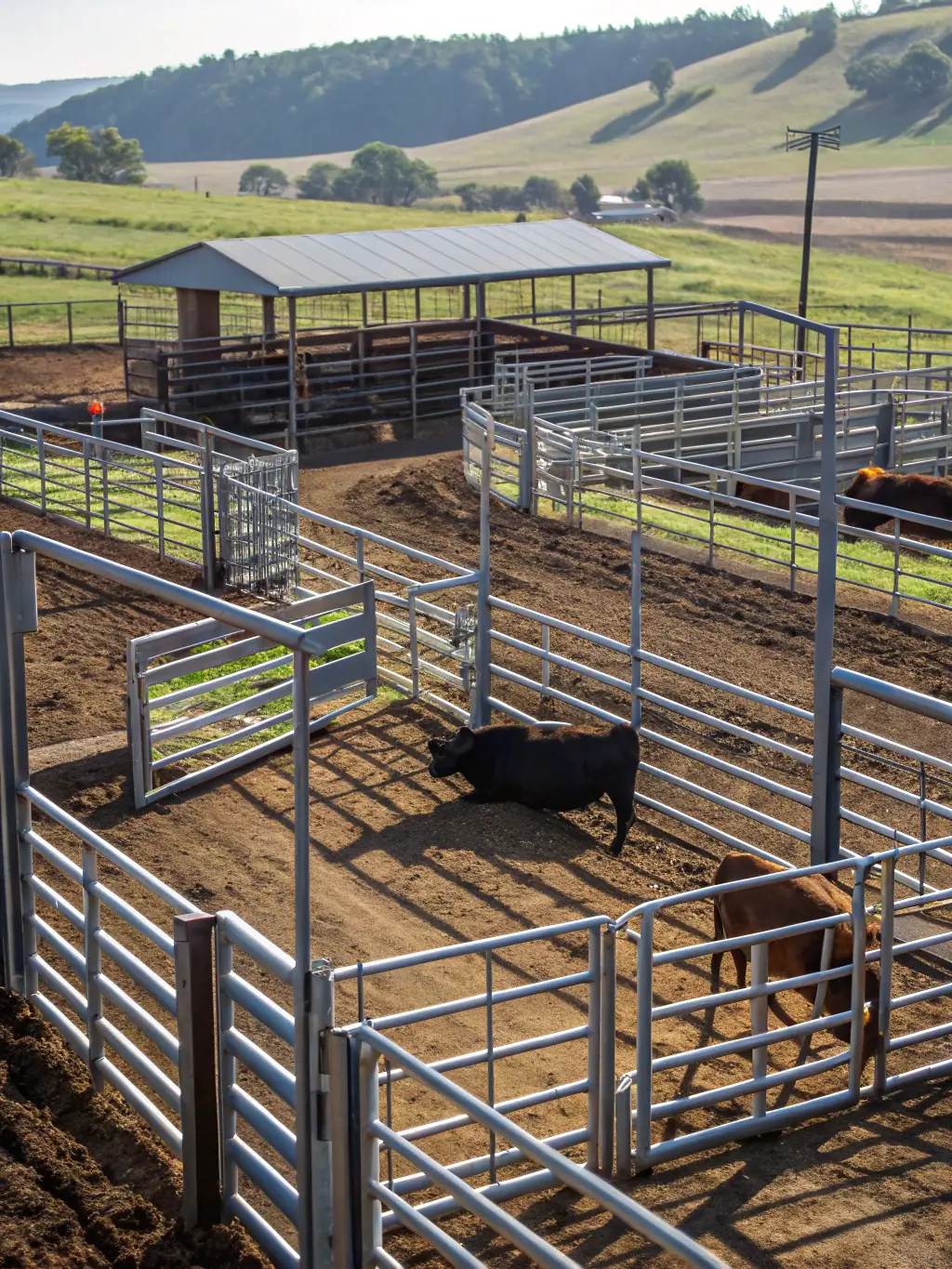Close-up of a durable metal fence surrounding a livestock enclosure on a farm, emphasizing its strength and longevity.