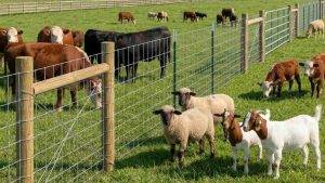 Garvee 3 9ft x 164ft Galvanized Cattle Fence- Fixed Knot Livestock Wire Fence(1)(1)
