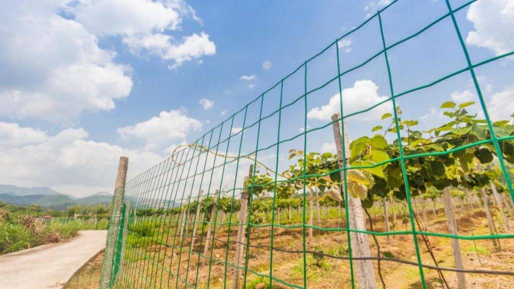 pvc-coated-farm-fence 2(1)