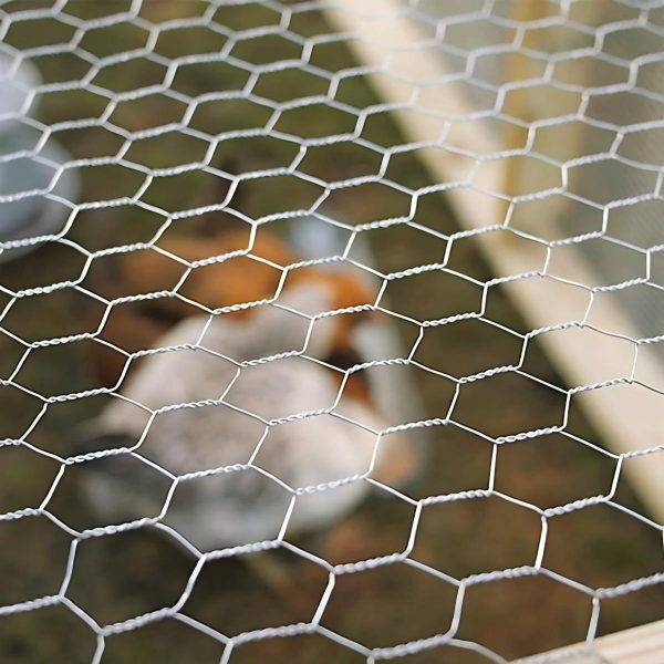 Hexagonal Wire Mesh for Poultry Farming Applications 2