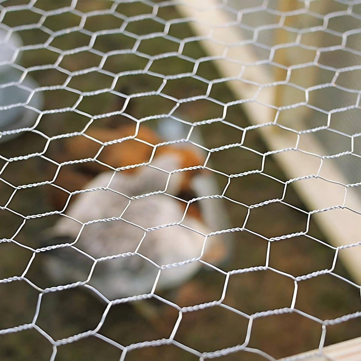 Hexagonal Wire Mesh for Poultry Farming Applications 2