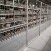 Warehouse Security Cages Mesh Partition(1)