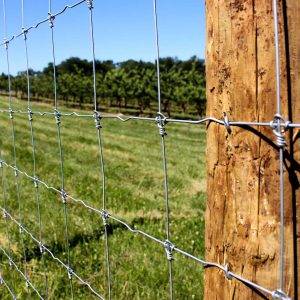 fixed knot field fence 2