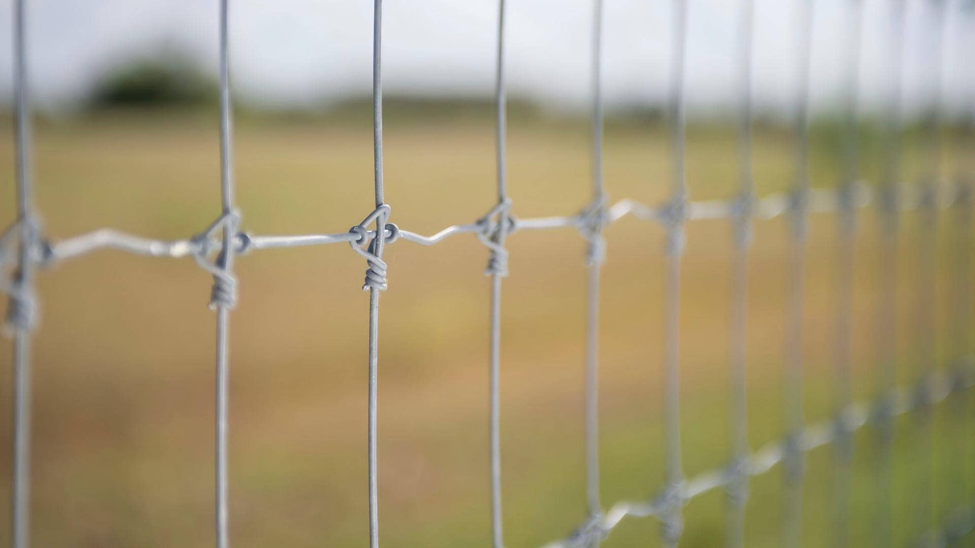Close-up of field fence wire mesh showing knot types and construction details.