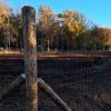 galvanized-fixed-knot-orchard