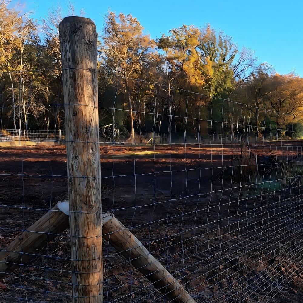 galvanized-fixed-knot-orchard