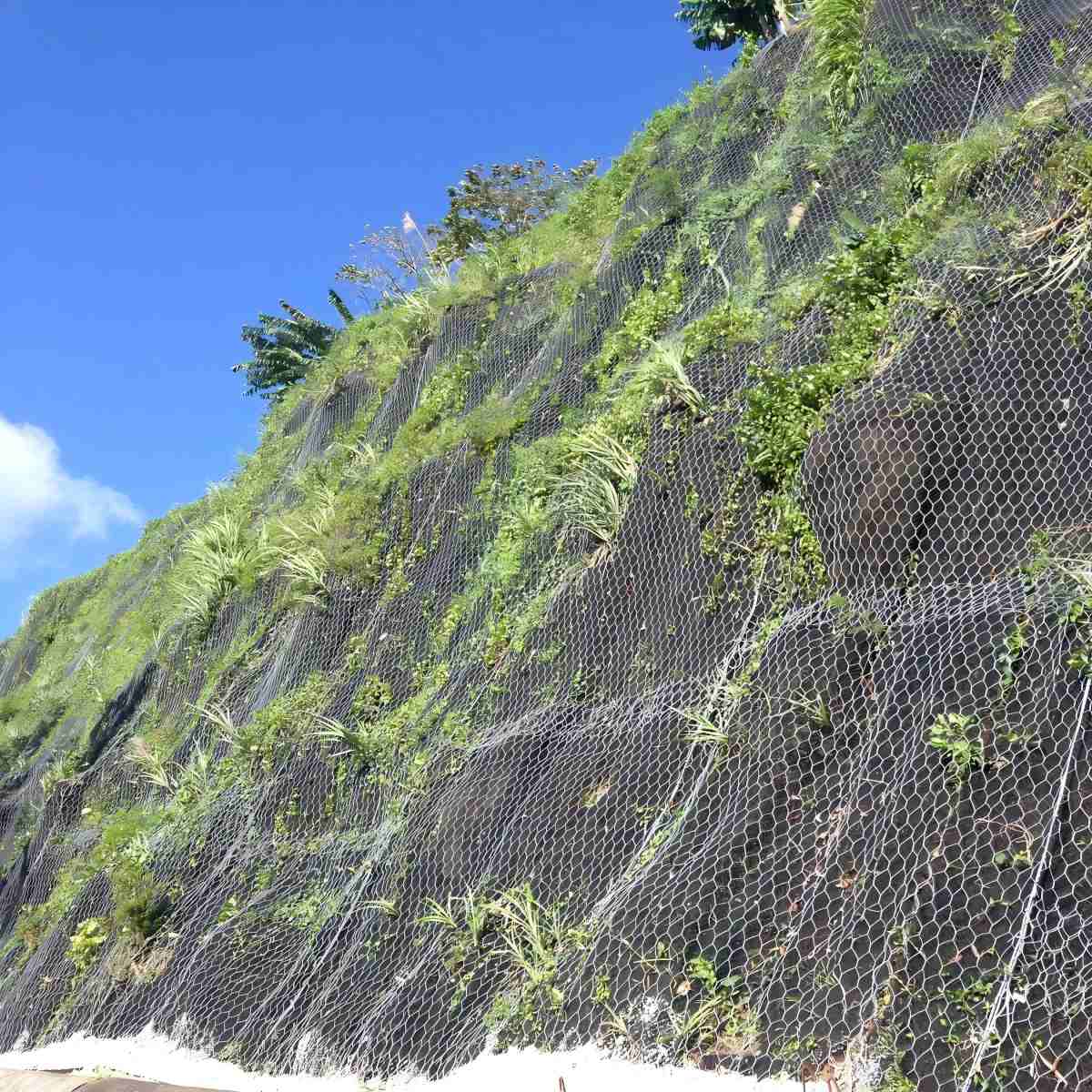 galvanized-hexagonal-wire-mesh-rockfall-application