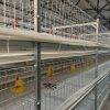 hot-dip-galvanized-welded-wire-mesh-poultry-cage(1)