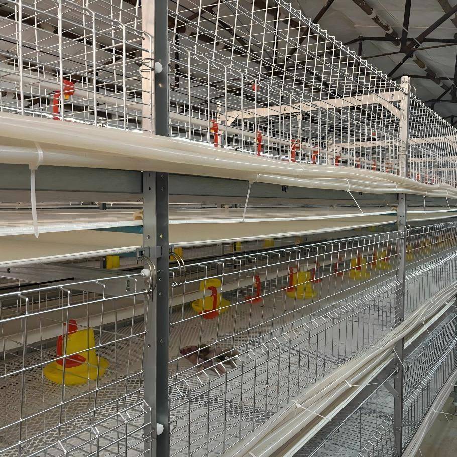 hot-dip-galvanized-welded-wire-mesh-poultry-cage(1)