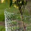 ot-dip-galvanized-hexagonal-wire-mesh-tree-guards-application