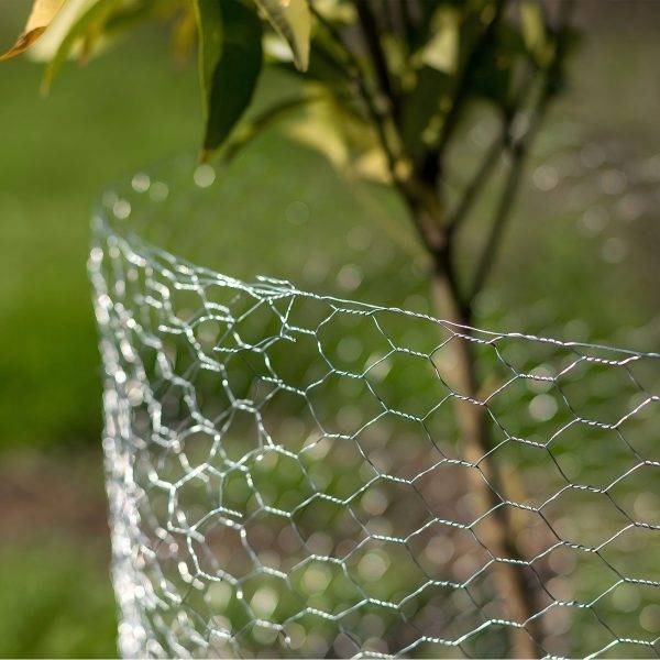 ot-dip-galvanized-hexagonal-wire-mesh-tree-guards-application