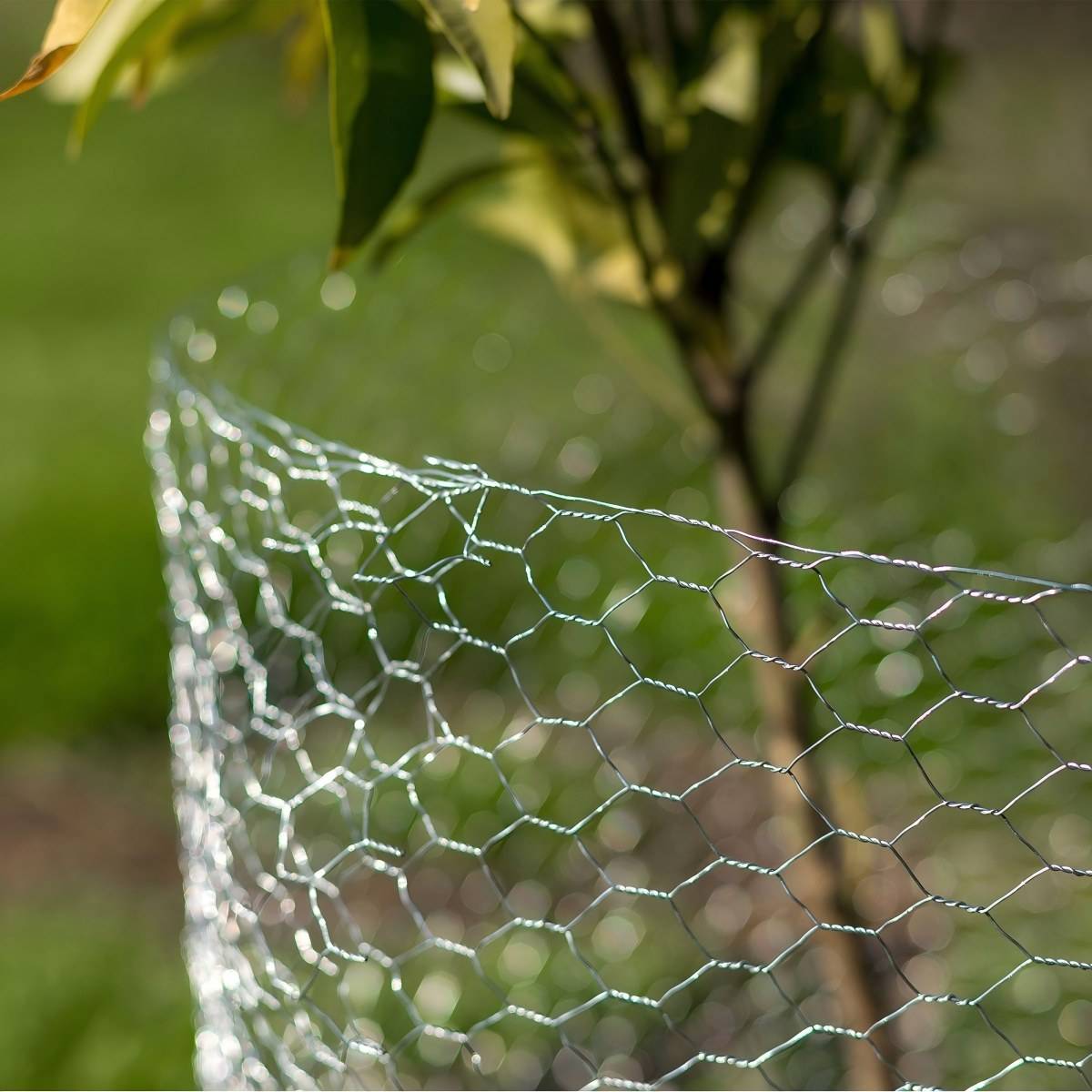 ot-dip-galvanized-hexagonal-wire-mesh-tree-guards-application