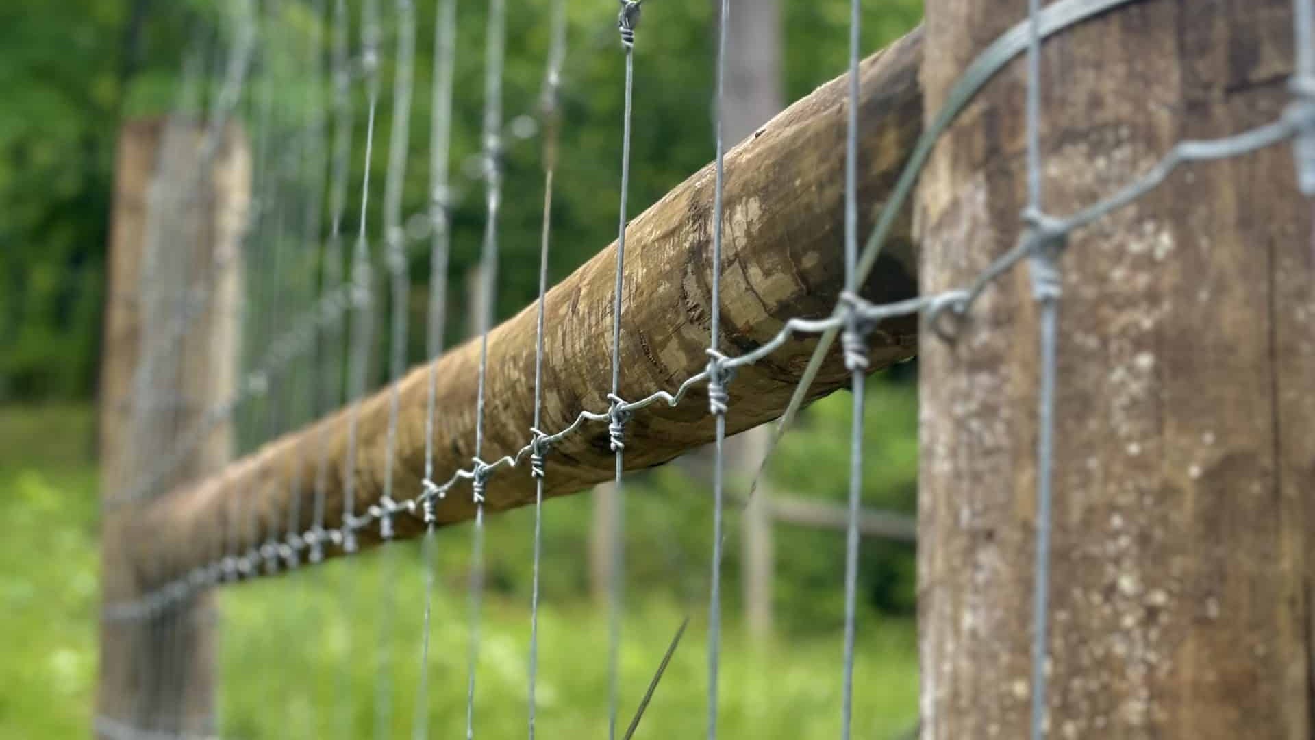Deer Fence -scaled(1)