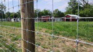 Woven Wire Fence Mesh Opening