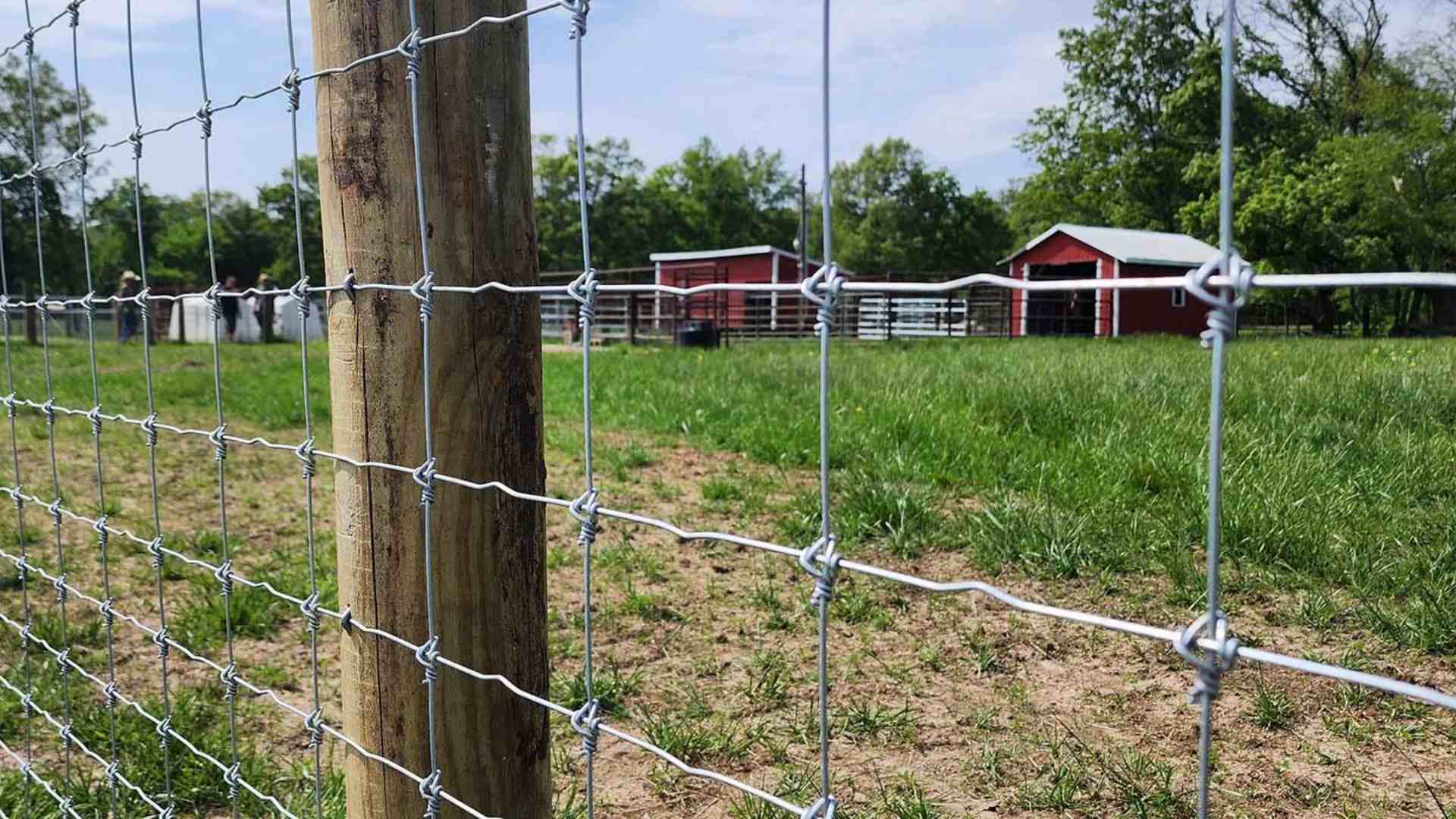 Woven Wire Fence Mesh Opening