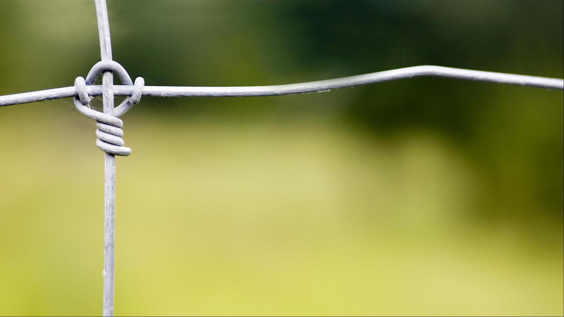 close up of fixed knot fence