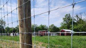 fixed knot woven wire fence