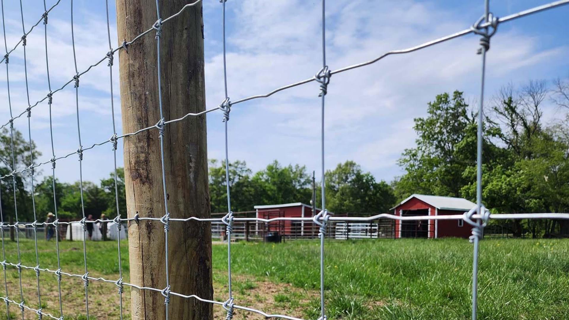 fixed knot woven wire fence