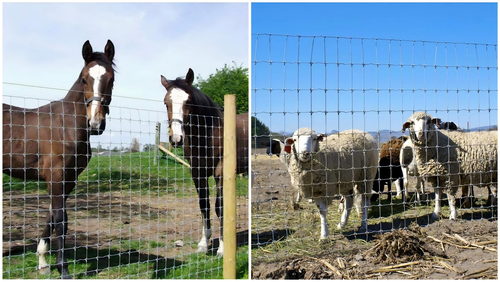 woven wire fence selsec guide