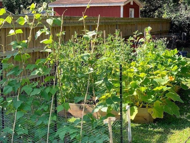 GARDEN CRAFT 25-ft x 4-ft Galvanized Steel Chicken Wire Rolled Fencing For Garden