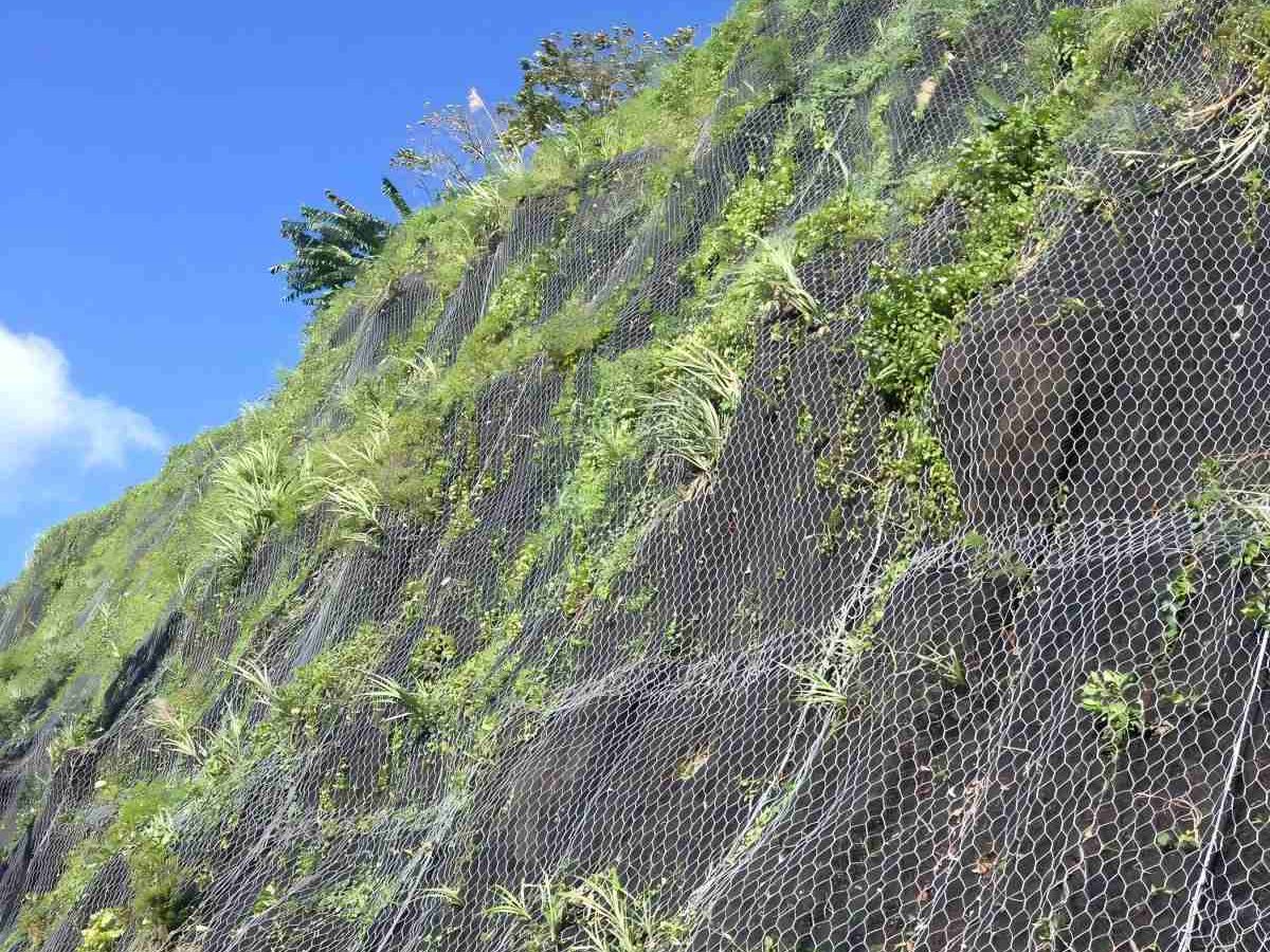 galvanized-hexagonal-wire-mesh-rockfall-application